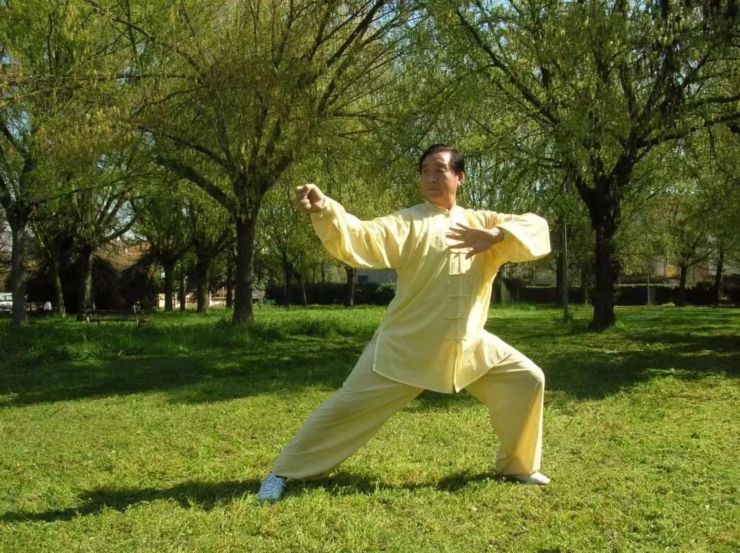数智武林武学顾问—朱天才